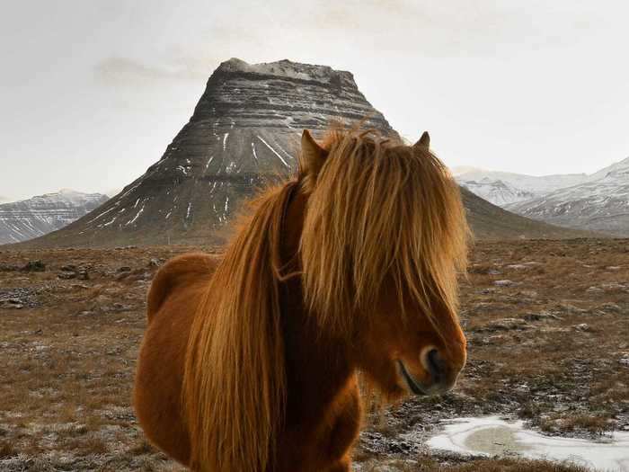 "Icelandic" by Subhash Panikar