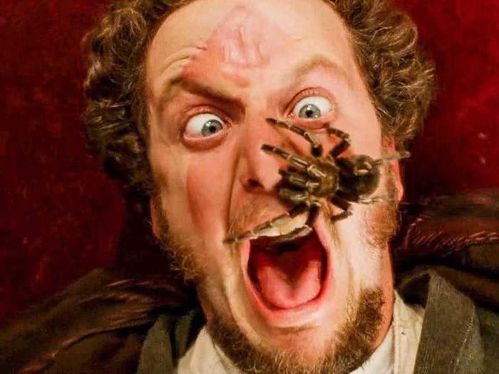 Daniel Stern played Marv, the other half of the "Wet Bandits."