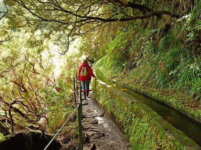 Madeira is full of levadas, a system of stone irrigation channels that criss-cross the island and transport water. These levadas also make for great hiking trails.