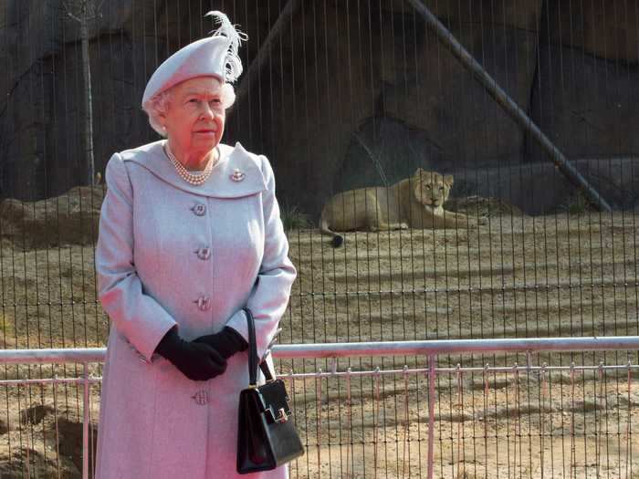 She visits animals at the zoo.