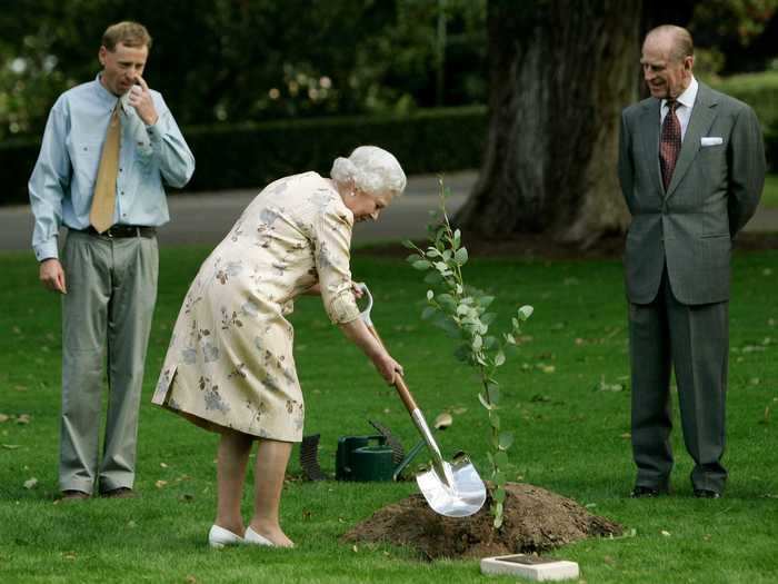 She plants trees.