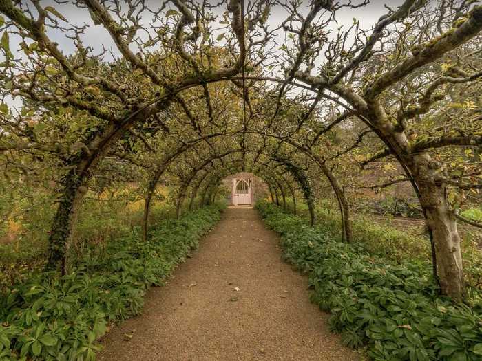 Today, the gardens at Highgrove are considered some of the most innovative in the country.