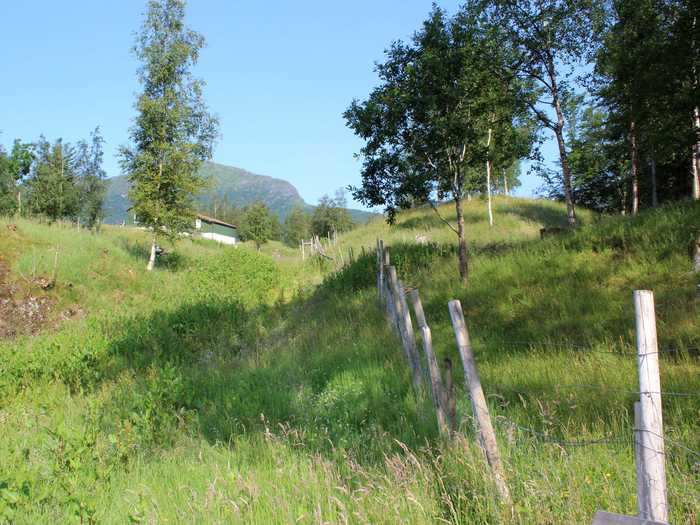 Ulvsnes Island also has hiking trails, a football pitch, and swimming spots that offer panoramic views of the fjord, according to the listing.