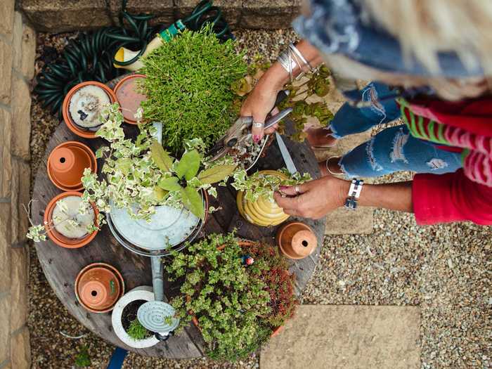 Beautify your neighborhood and grow produce by volunteering at a community garden.