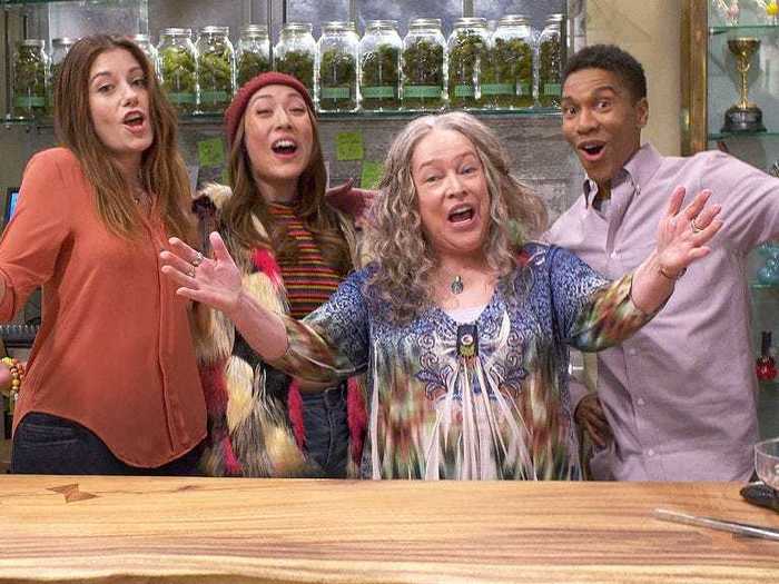 "Disjointed" was a rare one-season series among producer Chuck Lorre