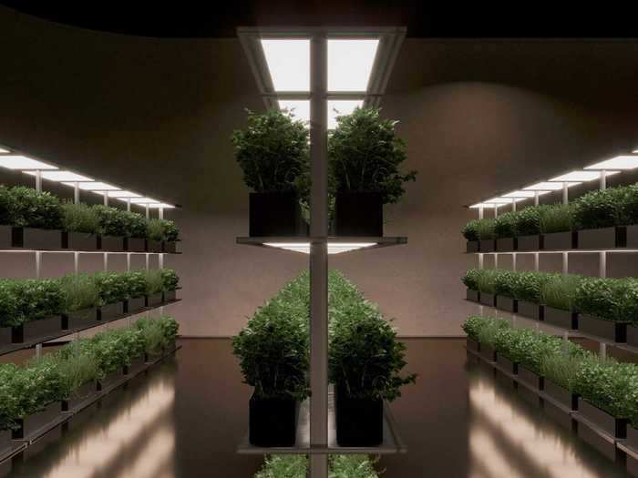 A garden with phyto lamps allows residents to grow vegetables and fruits ...