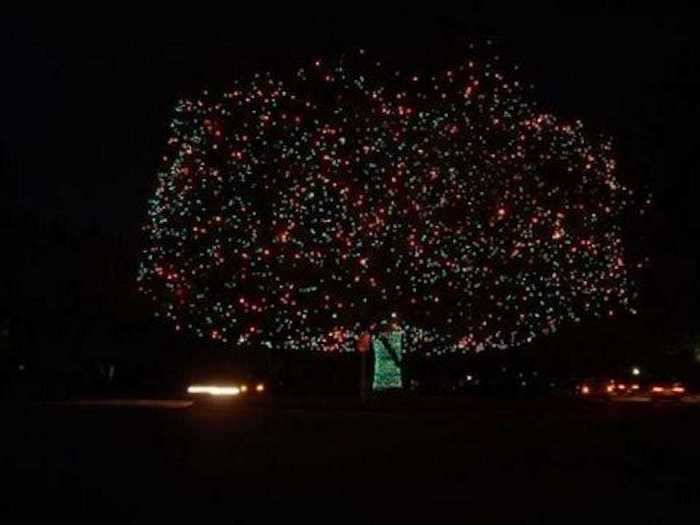 Texans ditch the normal Christmas pine tree and decorate a pecan tree instead.