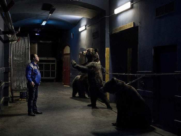 The relationship between Russian bear trainer Grant Ibragimov and his animals is more complicated.