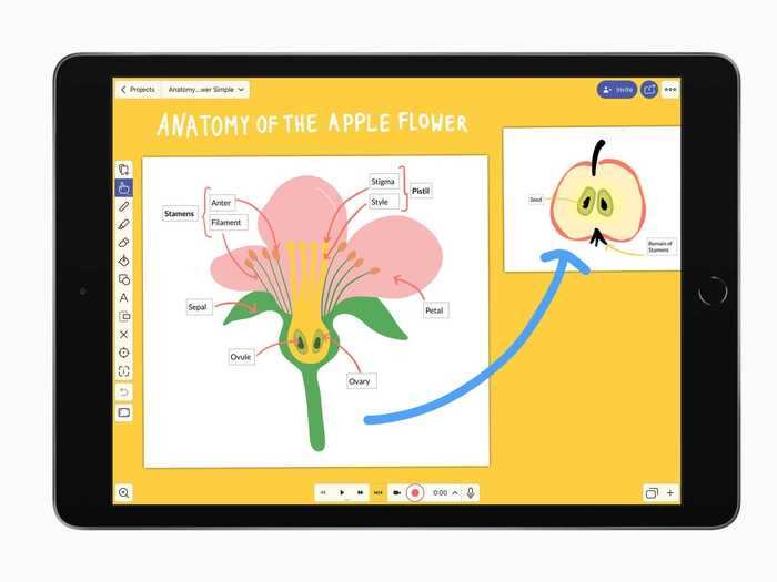 Finally, Explain Everything Whiteboard proved useful as a tool for students to work together on projects remotely.