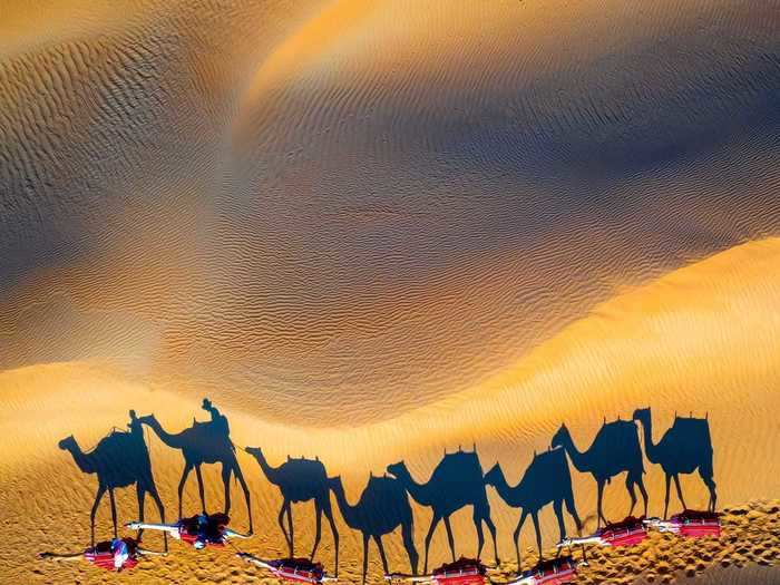 "Taking a camel ride through the desert at sunset" by Stephen Akpakwu