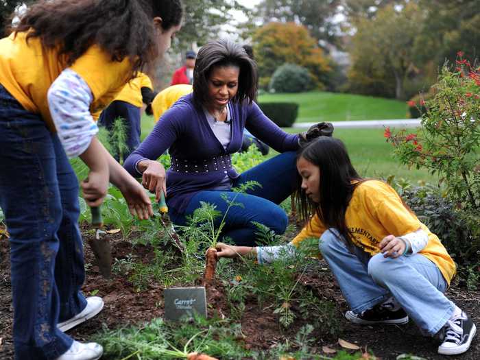 In 2009, Michelle Obama planted the White House Kitchen Garden on the South Lawn as part of her initiative to encourage healthy living.