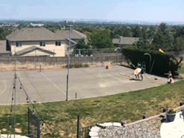 The Arnesons had just four weeks to transform the basketball court into a wedding venue.