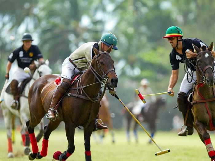 As far as equestrian activities go, the ranch is home to the Hawaiian Polo club, a well-known polo field.