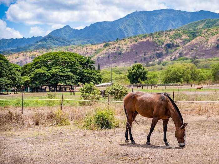 Apart from serving as a filming location and playing host to celebrities, the scenic estate has also been used for "cattle grazing, farming, equestrian activities," with parts of the land cleared for farming and orchard-planting purposes, per the listing.