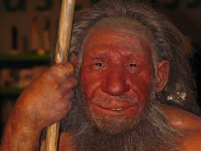 Neanderthals also used their hands differently than we did - they were better suited to a squeezing a spear than delicately grasping something between the thumb and forefinger.