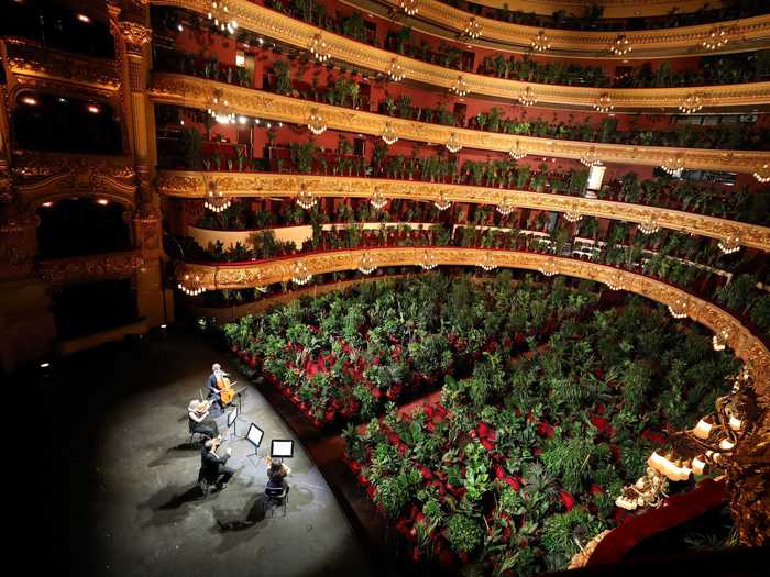 Meanwhile in Spain, a theater hosted a somber concert for 2,300 house plants to highlight the importance of an audience, per Reuters.