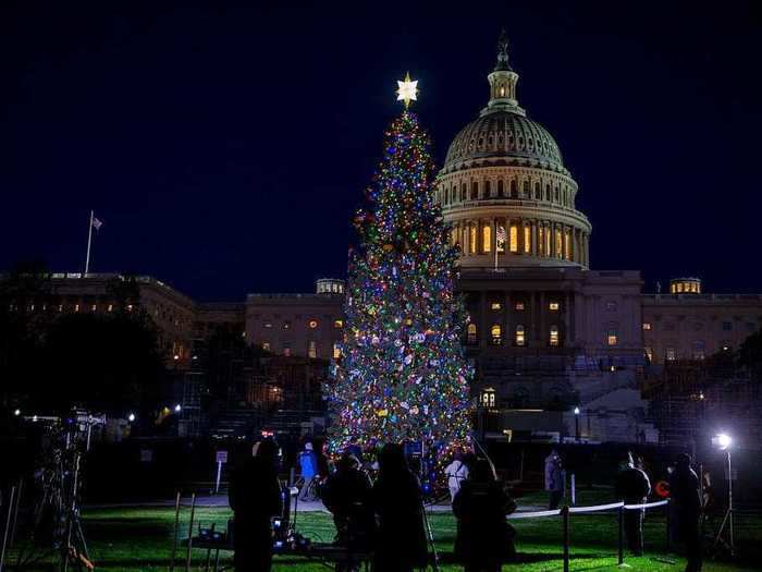 The US Capitol has its own Christmas tree, lit every year by the speaker of the House.