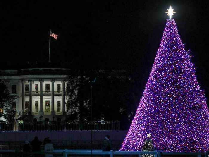 In Washington, DC, the National Christmas Tree shines on the White House Ellipse, a tradition that dates back to 1923.