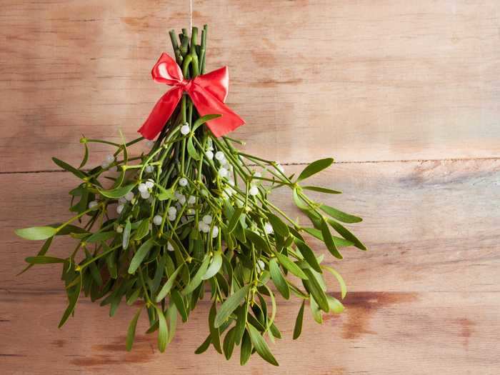 The tradition of kissing under the mistletoe comes from Celtic legend.
