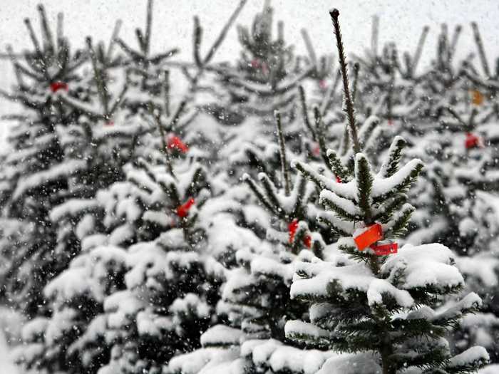 The song "Let It Snow" never actually mentions Christmas or the holidays in the lyrics.