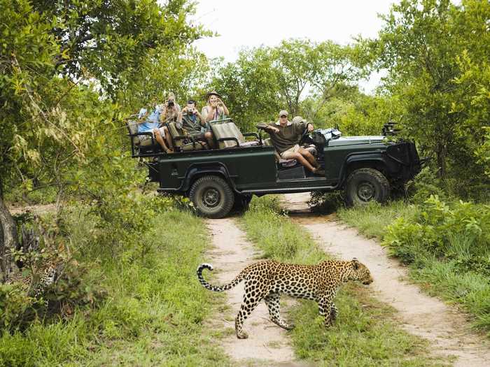 They also include two game drives daily in open Land Rovers. Private game drive vehicles can be booked in advance for an additional $300 (4,500 ZAR) per day.