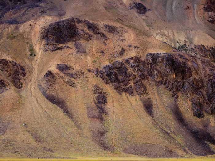 "Herds of Yak" by Victor Ferreira