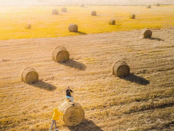 "Haystack ride" by Vitaly Tyuk