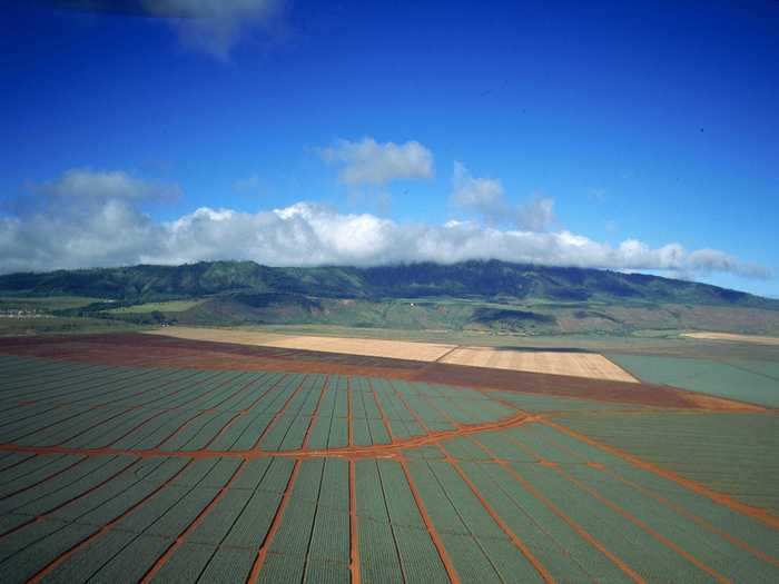 Murdock became the owner of Lanai in 1985 after taking over Dole