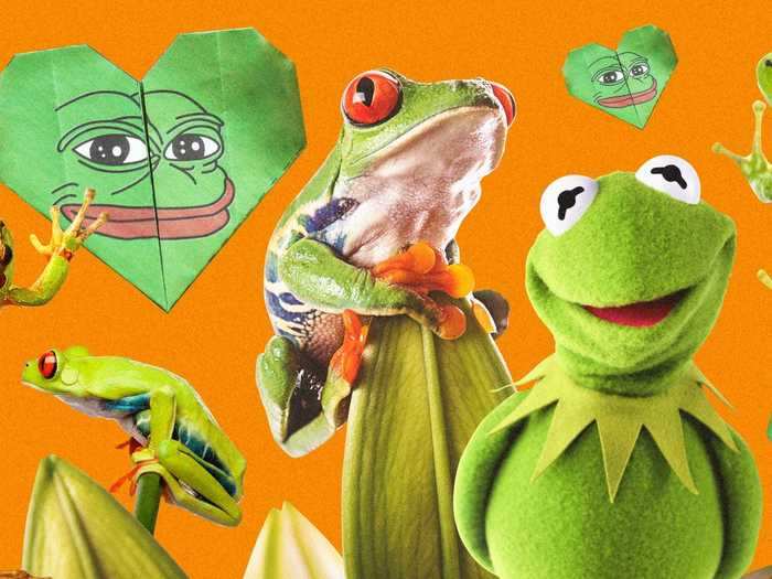 Frogs are in an internet golden age - how the animals once grouped with an online 