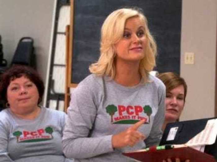 Leslie Knope becomes an activist while suspended from work in the "Parks and Recreation" holiday special "Citizen Knope."