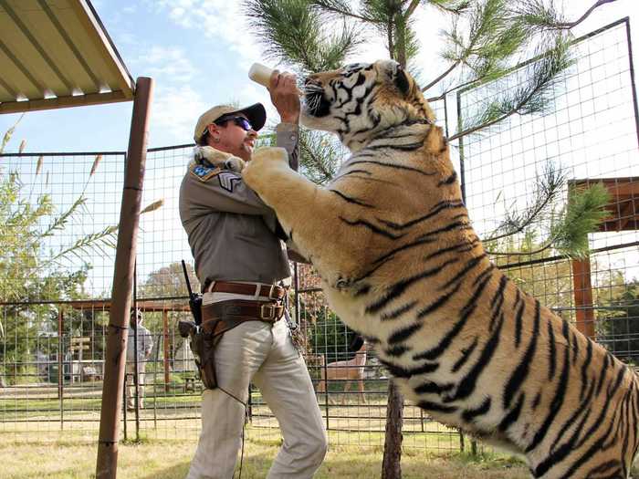 13. "Tiger King: Murder, Mayhem and Madness" takes an in-depth look at big cat rescues.