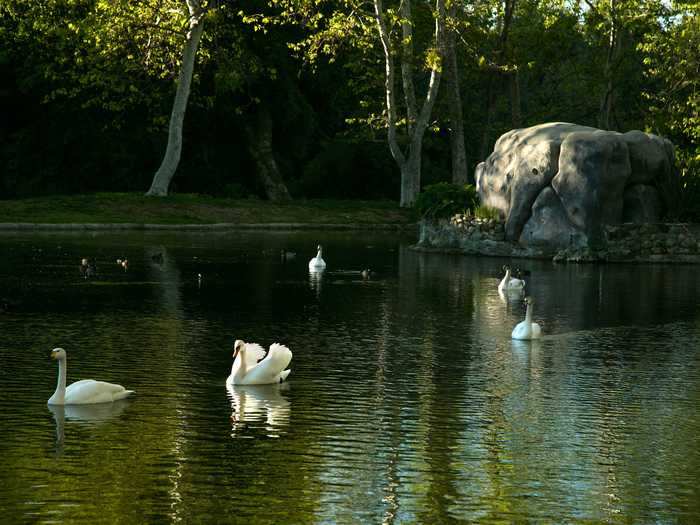 The property features a four-acre lake with two fountains, swans, boat stops, and a private beach.