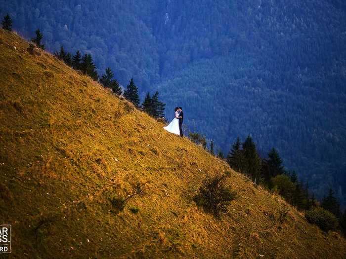 Some photographers used contrasting colors and scenery to create award-winning shots.