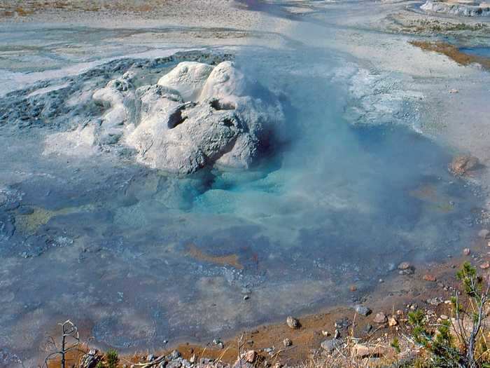 Three men were banned from Yellowstone National Park after trying to cook chickens in a hot spring.