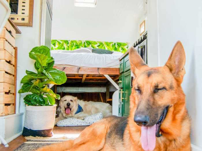 Contreras elevated this queen-sized mattress to make room for their dogs to hang out underneath.