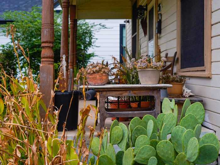 Some homes had succulents out front in true Texas style.