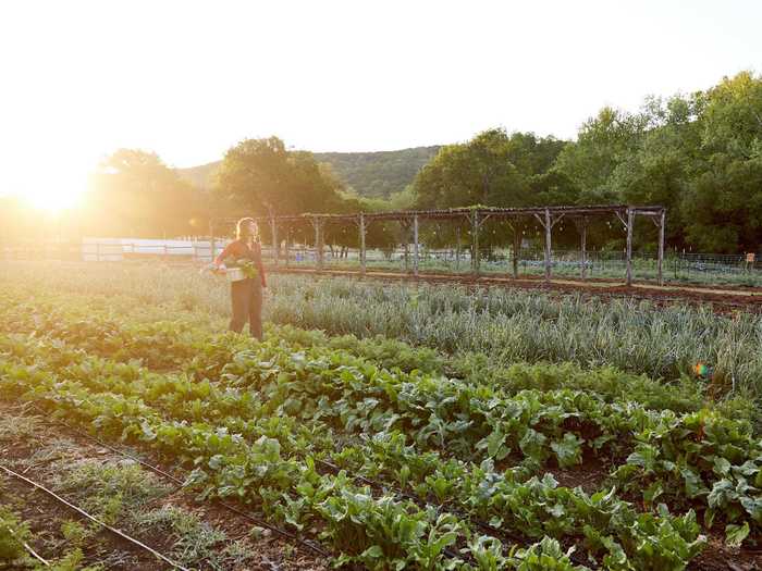 Want to learn how to play with shadows for your Instagram photos? Miraval has an experience for that.