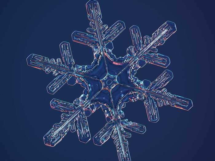 To find photogenic snowflakes, Myhrvold has traveled all over North America.