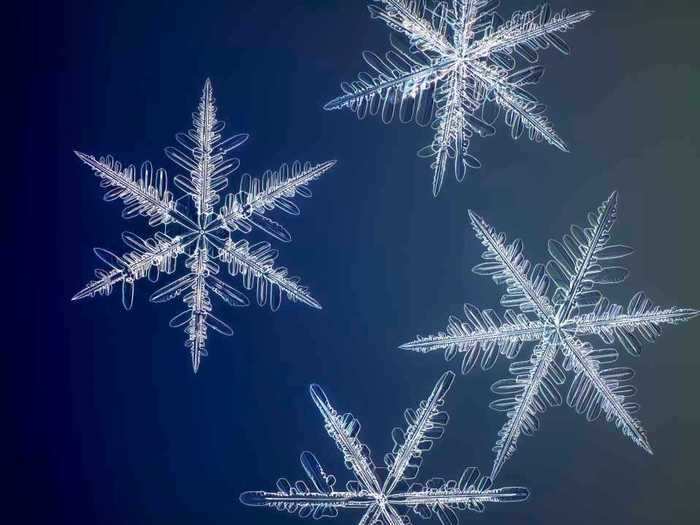 Another snowflake photographer, Kenneth Libbrecht, helped him realize he had another problem to overcome: finding the right snowflake.