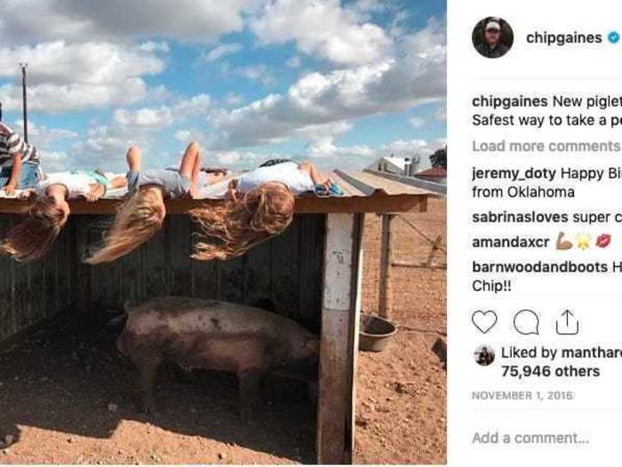 Including what he says is the "safest way to take a peek" at new piglets.