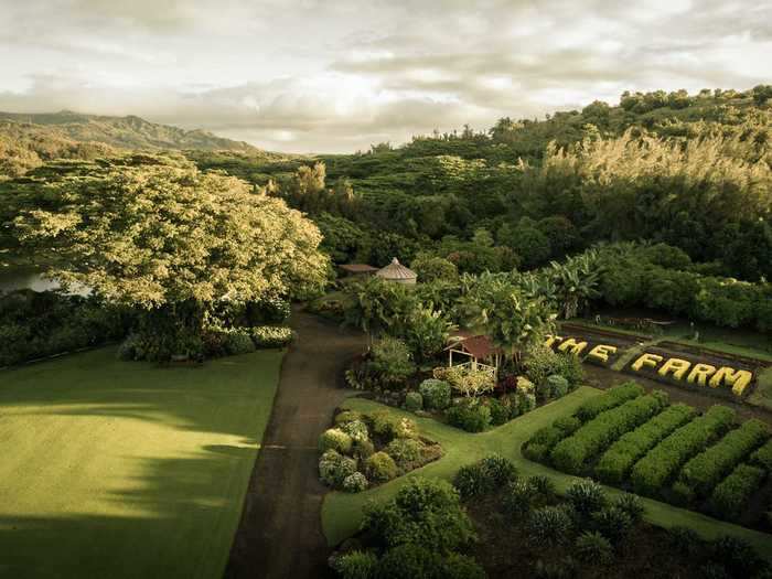 … the 13-acre farm where guests can pick its crops, including flowers, fruits, and vegetables …