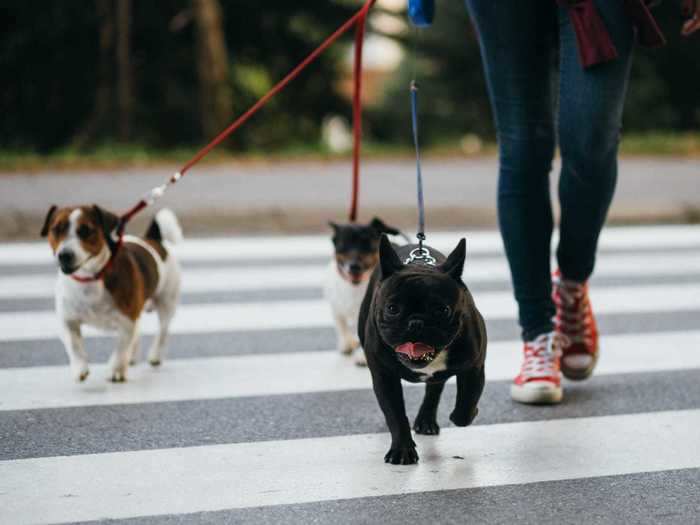 Picking up poop is definitely one of the least glamorous things about owning a dog - but this smelly task is non-negotiable.