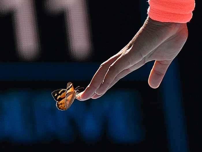 Somehow, she managed to get the butterfly onto her fingertips.