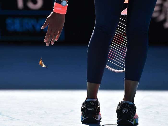 Instead of freaking out, swatting the butterfly away, or ignoring it altogether, Osaka paused her match to help usher her new friend to safety.