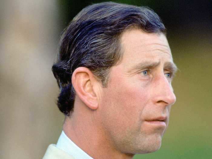 Prince Charles admitted he was unfaithful to Diana in a 1994 ITV documentary.