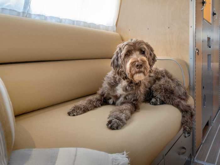 The interior can also be temperature controlled to make sure any pets left inside won