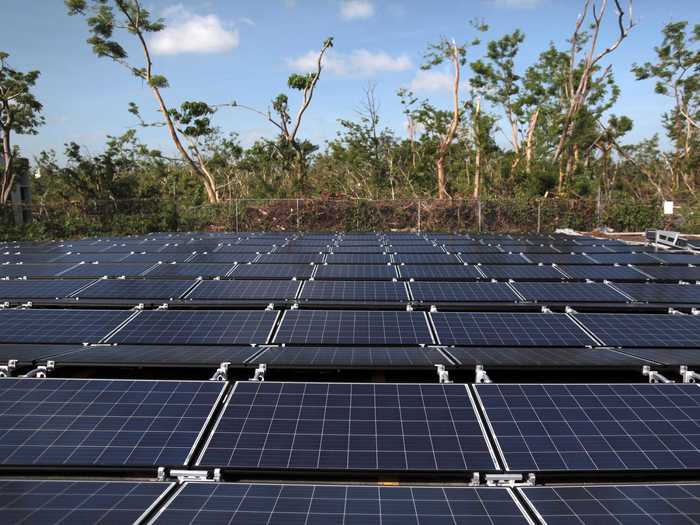 Sensei built two 20,000-square-foot hydroponic greenhouses, known as Sensei Farms. The greenhouses are powered by 1,600 Tesla solar panels (Ellison sits on Tesla