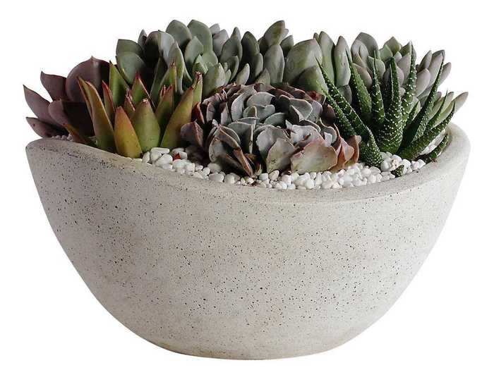 House your indoor plants in style with this handcrafted concrete planter.