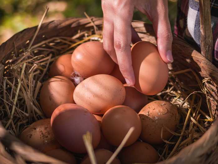 Lastly, Stewart loves having fresh eggs from her own chickens on hand.