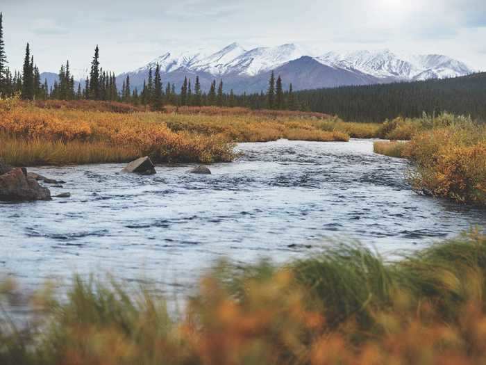 While lawmakers have been proposing possible solutions, Holland America and Princess Cruises have decided to address these matters by pivoting to land-based Alaska tours instead.